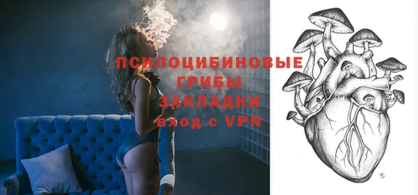 соль ск Алзамай