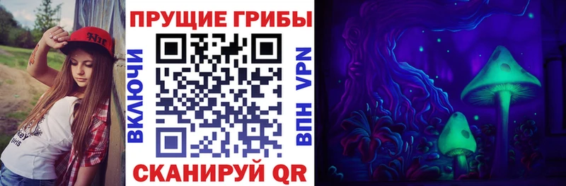 Галлюциногенные грибы Cubensis  Александровское 